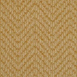 “Carpet