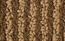 Unique Carpets Wool Rug:  Pebble Point 9643, Deer Path